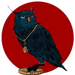 Owlto Finance