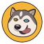 Hasaki